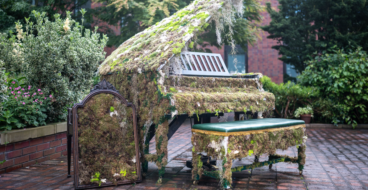 A moss covered baby grand piano in an outdoor courtyard