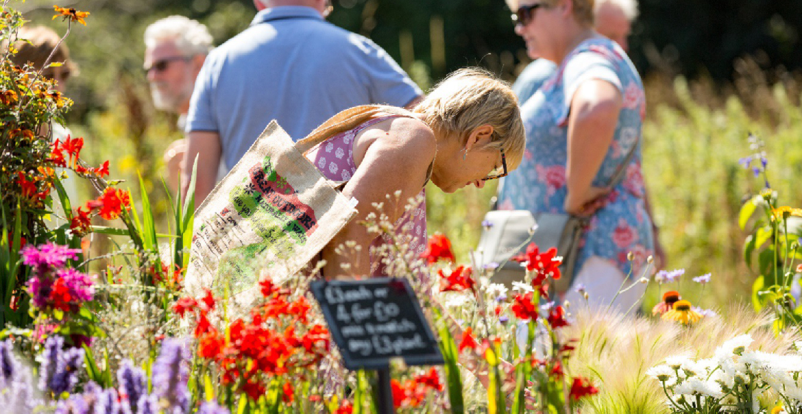 A vibrant image of a flower show, focusing on one visitor reaching down to look at a flower