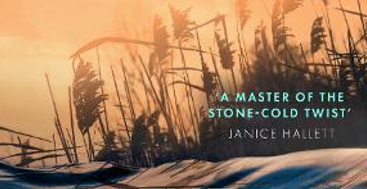 Graphic artwork for a novel with pampas grass and water at sunset